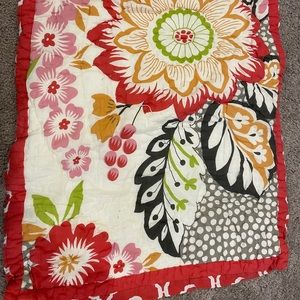 Queen quilt set from World Market